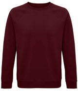 SOL'S Unisex Space Organic Raglan Sweatshirt 03567