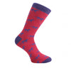Horse Socks – Red and Blue Combed Cotton by Dalaco