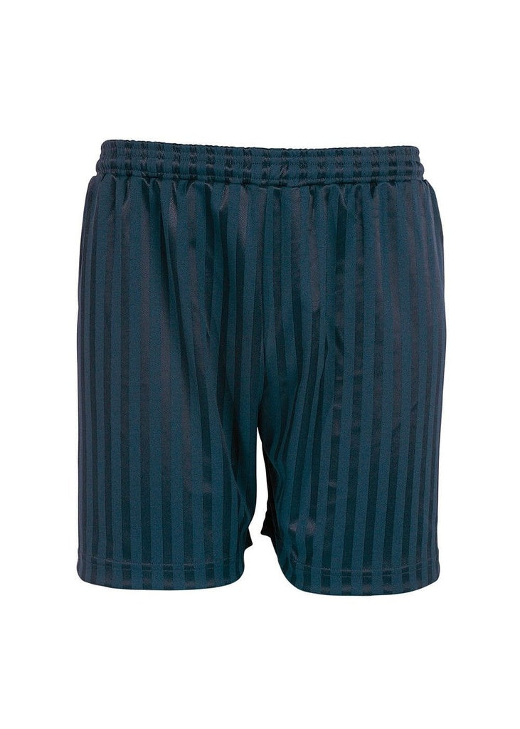 Blue Max Banner Shadow Stripe Shorts 3BS