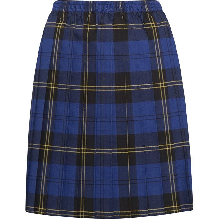 Blue Max Banner Skye Tartan Junior Skirt 1EJ