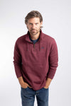 Weird Fish Brampton 1/4 Zip Sweatshirt in Deep Crimson