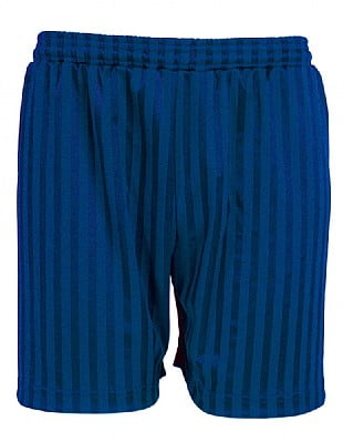Blue Max Banner Shadow Stripe Shorts 3BS - Dark Royal