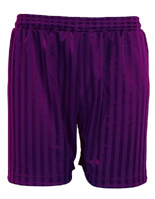 Blue Max Banner Shadow Stripe Shorts 3BS - Purple