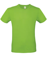 B&C Collection #E150 - Orchid Green