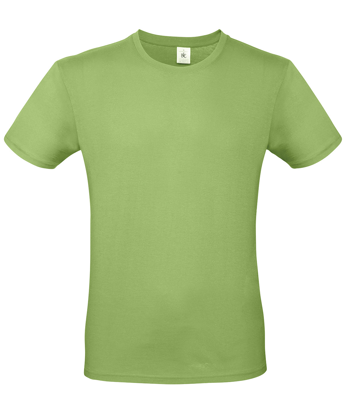 B&C Collection #E150 - Pistachio