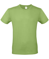 B&C Collection #E150 - Pistachio
