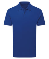 Asquith & Fox Premium mercerised polo AQ101