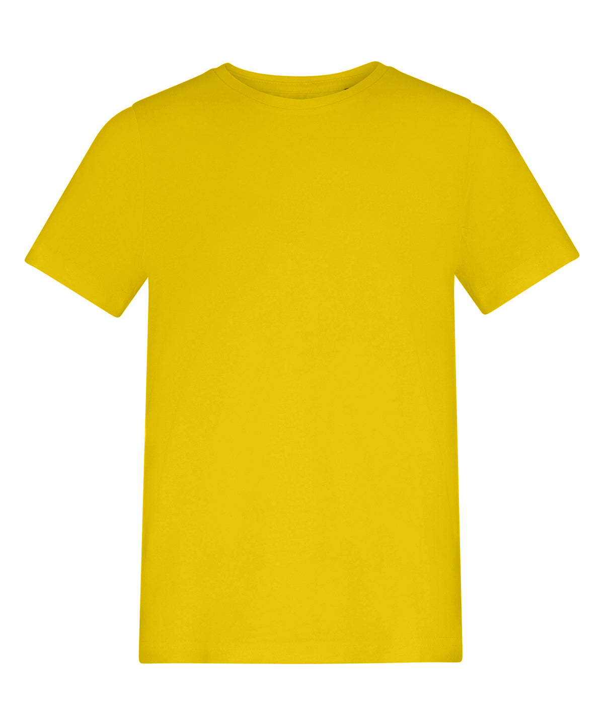 The AWDis 150 Kids T AT01J