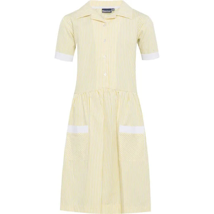 Blue Max Banner Kinsale corded stripe dress 913119