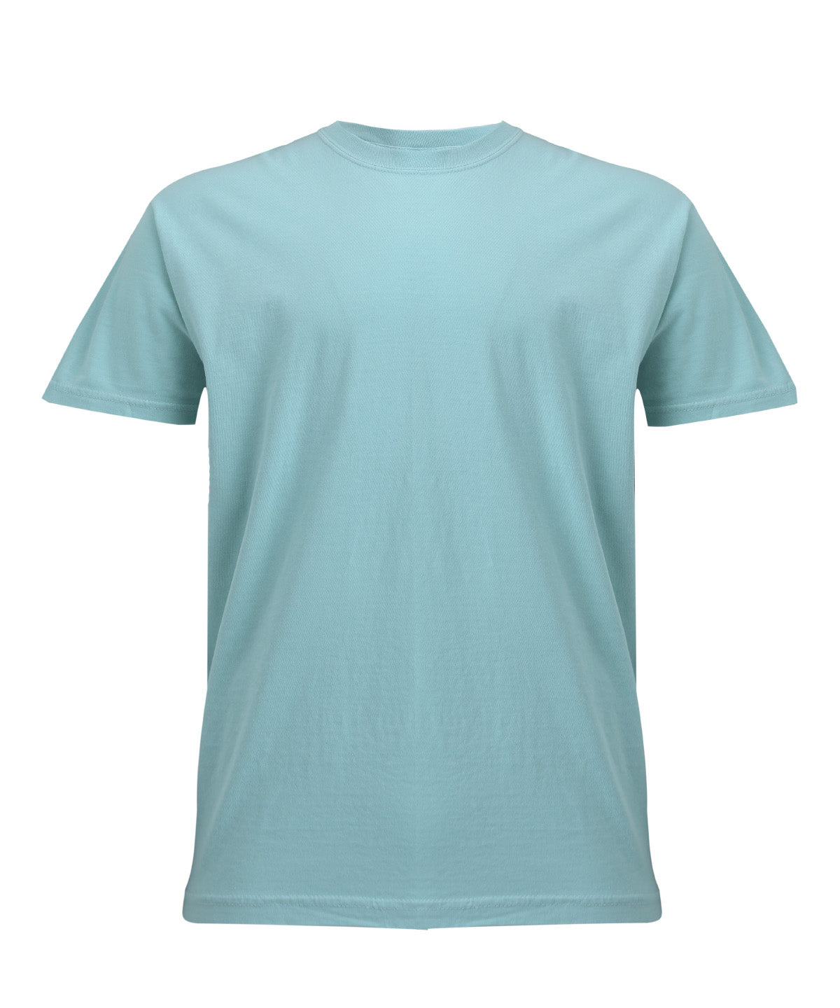 Comfort Colors Heavyweight Adult T-Shirt CO100