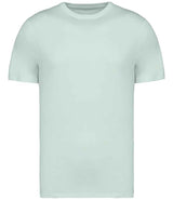 Native Spirit Unisex Heavyweight T-Shirt NS305
