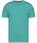 Native Spirit Unisex Heavyweight T-Shirt NS305