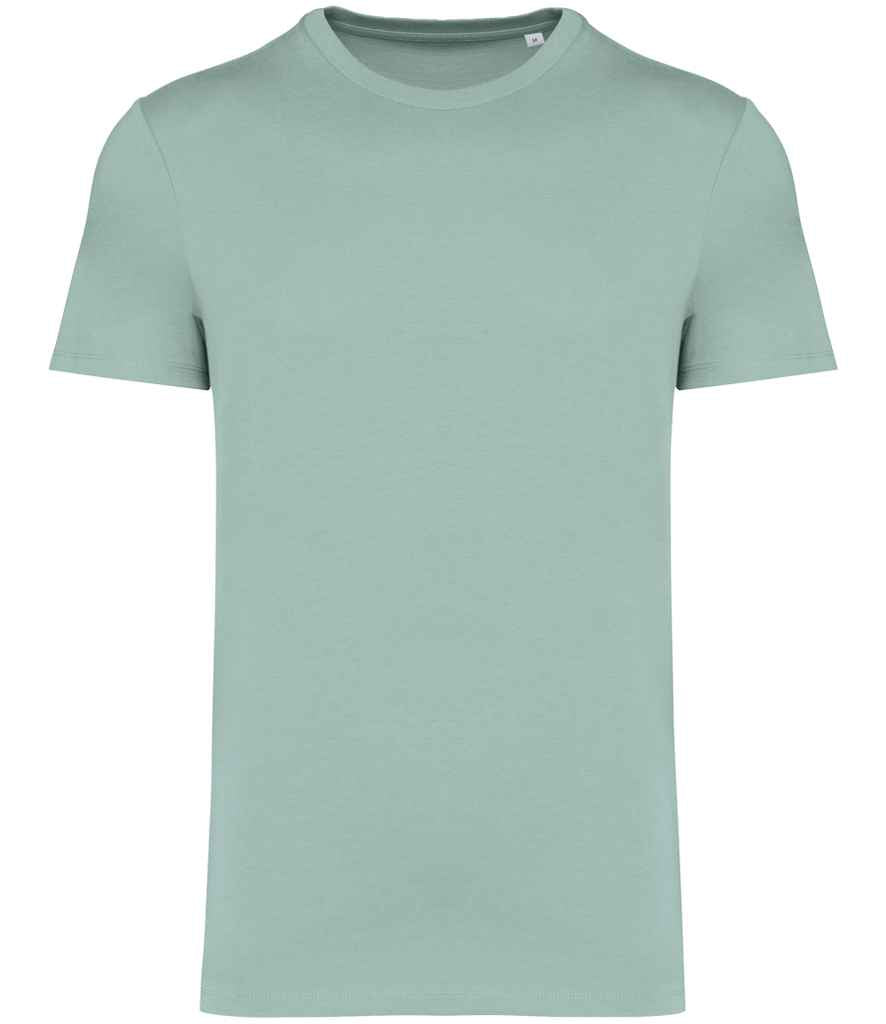 Native Spirit Unisex Heavyweight T-Shirt NS305