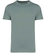 Native Spirit Unisex Heavyweight T-Shirt NS305