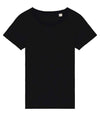 Native Spirit Ladies T-Shirt NS324 - front view