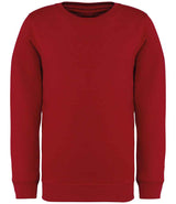 Native Spirit Kids Crew Neck Sweatshirt NS403