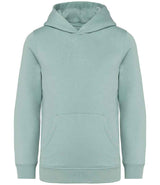 Native Spirit Kids Hooded Sweatshirt NS404