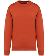 Native Spirit Unisex Oversized Sweatshirt NS407