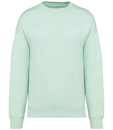 Native Spirit Unisex Oversized Sweatshirt NS407