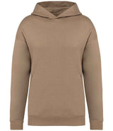 Native Spirit Unisex Oversized Hoodie NS408