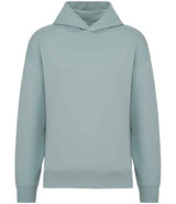 Native Spirit Unisex Oversized Hoodie NS408
