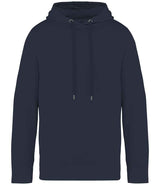 Native Spirit Unisex Terry 280 Hoodie NS416
