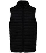 Native Spirit Light Recycled Bodywarmer NS6005