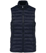 Native Spirit Ladies Light Recycled Bodywarmer NS6006