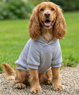 Portman & Pooch - Dog’s hoodie