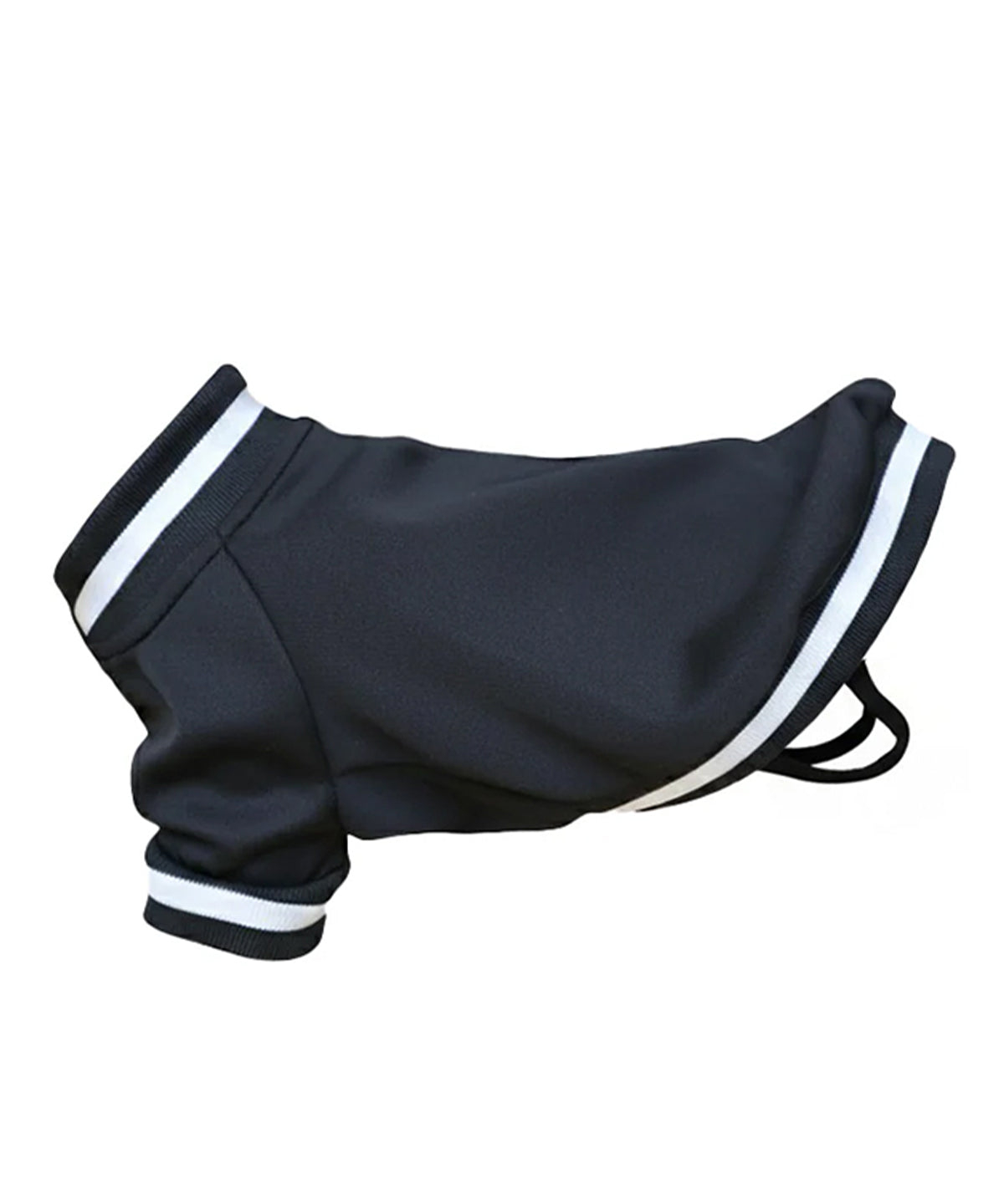 Portman & Pooch - Dog’s varsity jacket