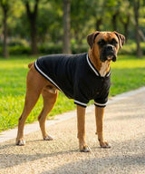 Portman & Pooch - Dog’s varsity jacket