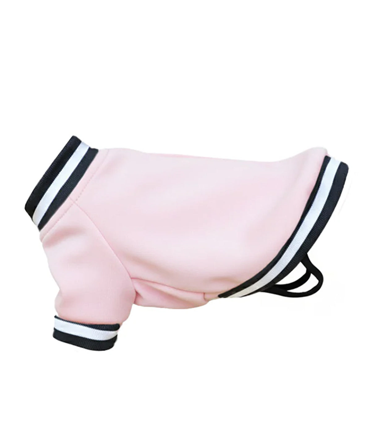 Portman & Pooch - Dog’s varsity jacket