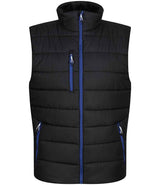 Regatta Navigate Thermal Bodywarmer RG445