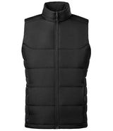 Stormtech Sierra Thermal Bodywarmer TVX5M