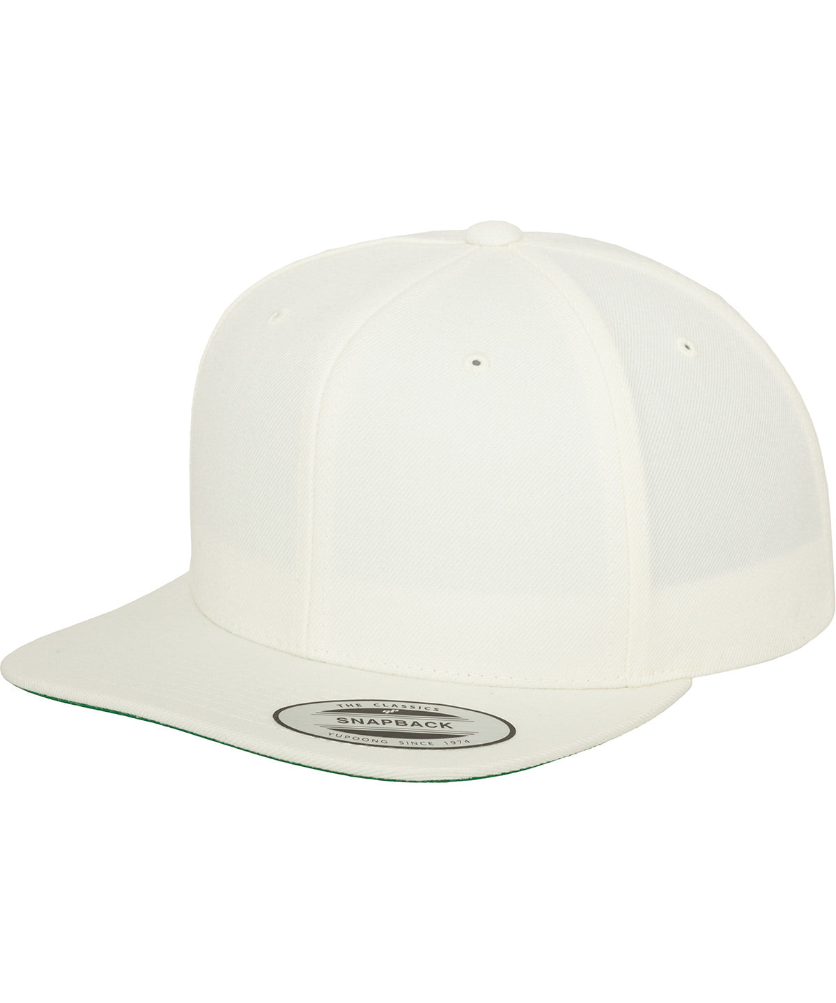 Flexfit by Yupoong The classic snapback (6089M) YP001