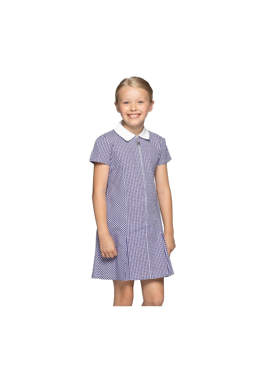 Blue Max Banner Avon Corded Gingham Dress 913104