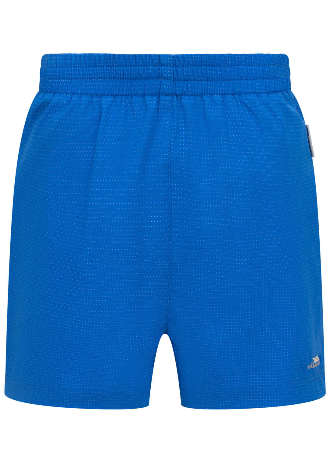 Tresspass INSHORE - MALE SWIM SHORT - BLUE