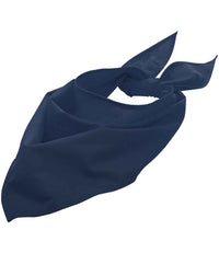 French Navy