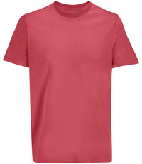 Folk Pink