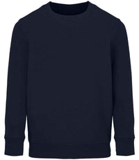 French Navy