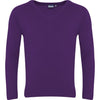 Blue Max Banner Premier LC V Neck Jumper 1WW