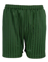 Blue Max Banner Shadow Stripe Shorts 3BS - Bottle