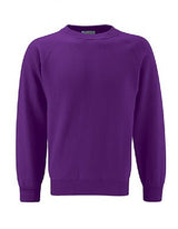 Blue Max Banner Select Raglan Crew Neck Sweatshirt 3SR - Purple