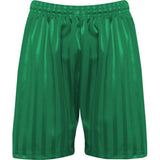 Blue Max Banner Shadow Stripe Shorts 3BS