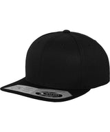 Flexfit by Yupoong 110 fitted snapback (110) YP020