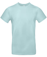 B&C Collection #E190 - Millennial Mint