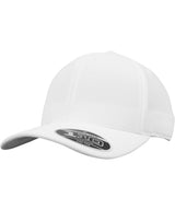 Flexfit by Yupoong 110 cool & dry mini piqué (110P) YP062