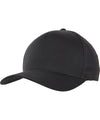Flexfit by Yupoong 110 trucker (110T) YP063
