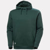 Helly Hansen Classic 2.0 Hoodie 79403 - Darkest Spruce