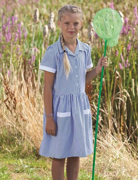 Blue Max Banner Kinsale Corded Stripe Dress 913119 - lifestyle